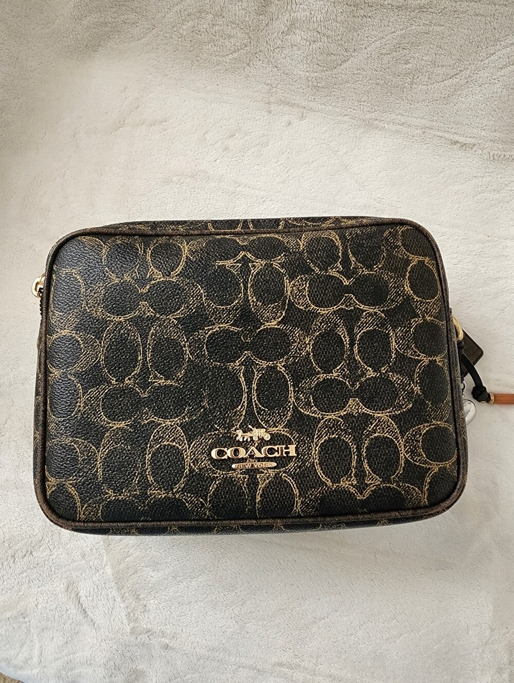 Large Carey Crossbody Bag In Loved Signature Canvas With Charms